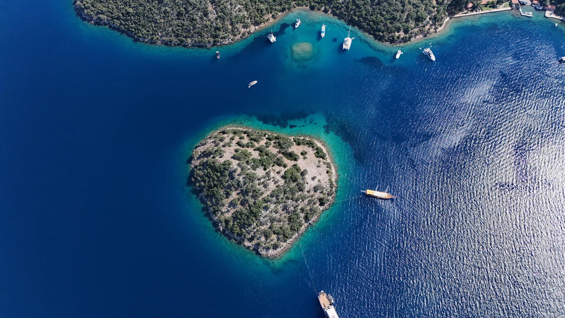 domuz island